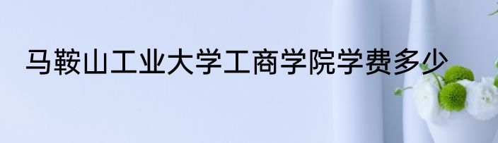 马鞍山工业大学工商学院学费多少