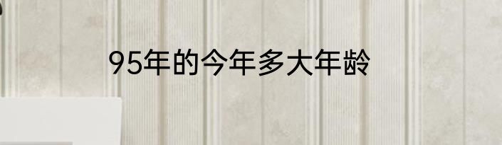95年的今年多大年龄