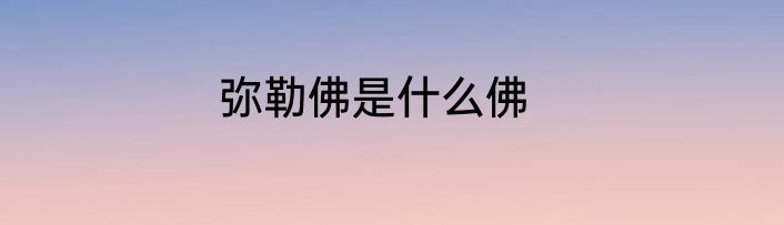 弥勒佛是什么佛