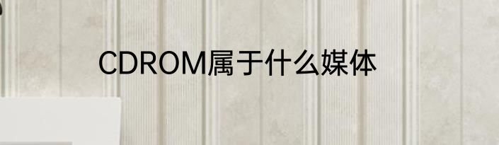 CDROM属于什么媒体