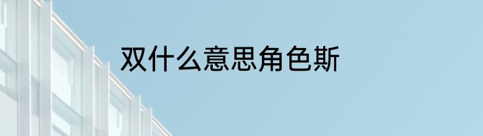 双什么意思角色斯