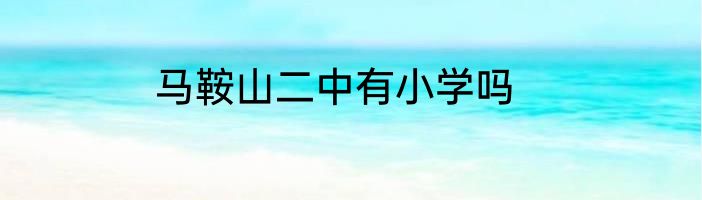 马鞍山二中有小学吗