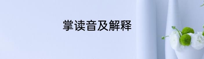 掌读音及解释