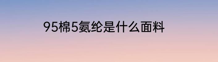 95棉5氨纶是什么面料