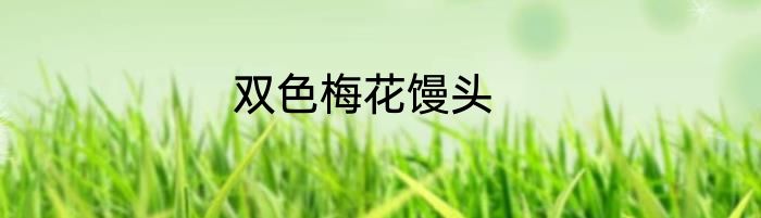 双色梅花馒头