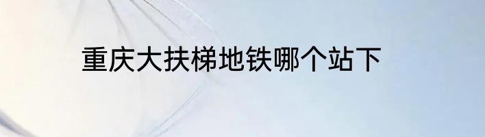 重庆大扶梯地铁哪个站下