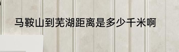 马鞍山到芜湖距离是多少千米啊
