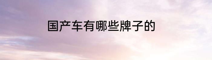 国产车有哪些牌子的