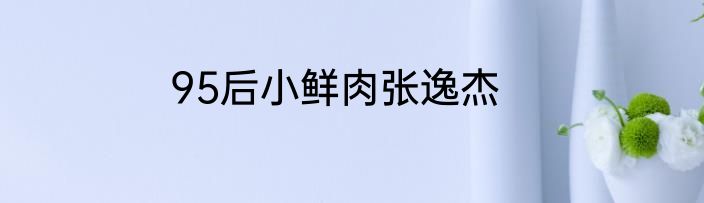 95后小鲜肉张逸杰