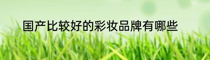 国产比较好的彩妆品牌有哪些