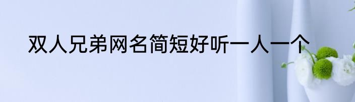 双人兄弟网名简短好听一人一个