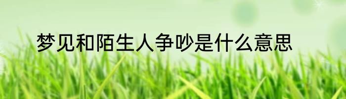 梦见和陌生人争吵是什么意思