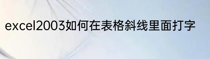 excel2003如何在表格斜线里面打字