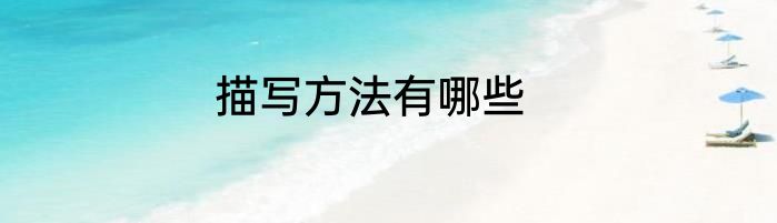 handsome造句