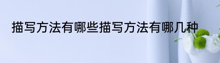描写方法有哪些描写方法有哪几种
