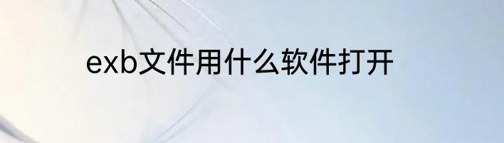 exb文件用什么软件打开