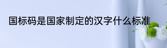 国标码是国家制定的汉字什么标准