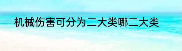 机械伤害可分为二大类哪二大类