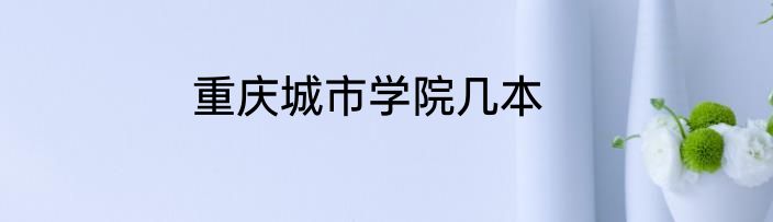 重庆城市学院几本