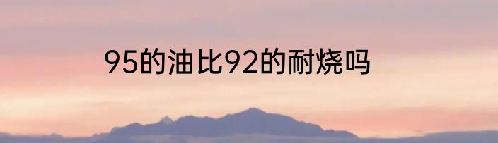 95的油比92的耐烧吗