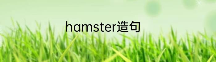 hamster造句