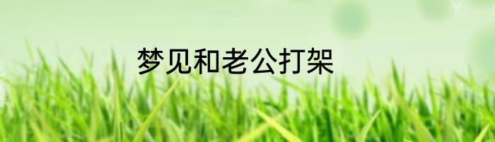 梦见和老公打架