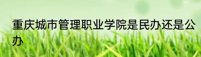 重庆城市管理职业学院是民办还是公办