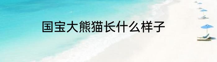 国宝大熊猫长什么样子