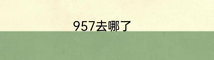 957去哪了