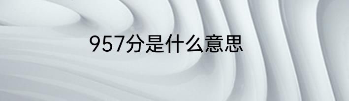 957分是什么意思