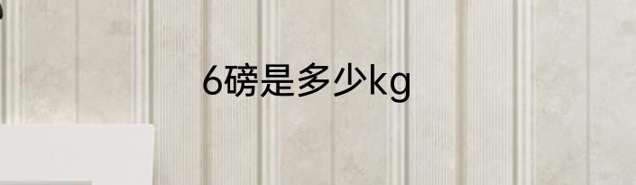 6磅是多少kg