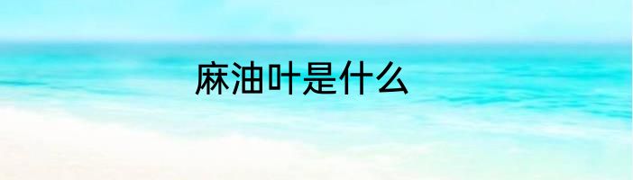 麻油叶是什么