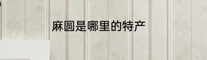 麻圆是哪里的特产