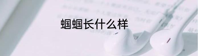 蝈蝈长什么样
