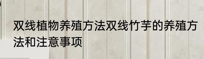 双线植物养殖方法双线竹芋的养殖方法和注意事项