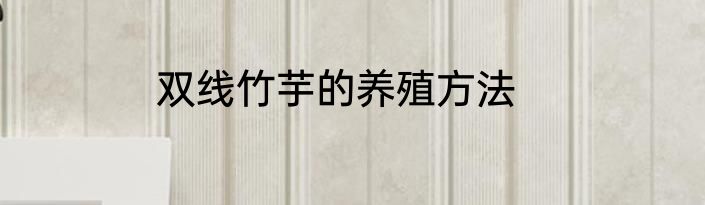 双线竹芋的养殖方法