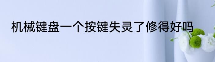 机械键盘一个按键失灵了修得好吗