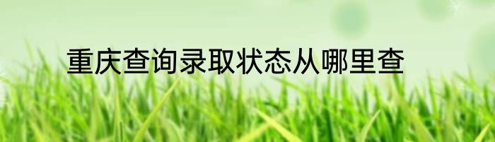重庆查询录取状态从哪里查