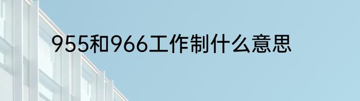 955和966工作制什么意思