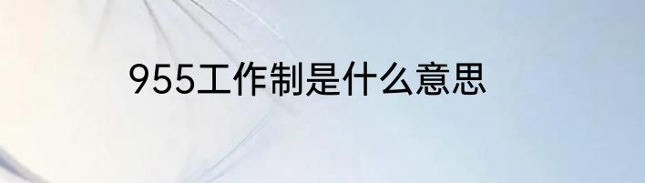 955工作制是什么意思