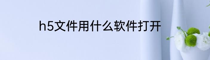 h5文件用什么软件打开