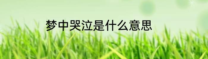 梦中哭泣是什么意思
