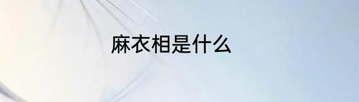麻衣相是什么