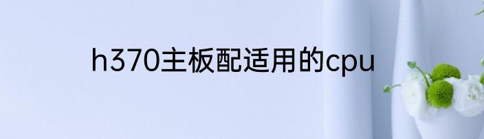 h370主板配适用的cpu