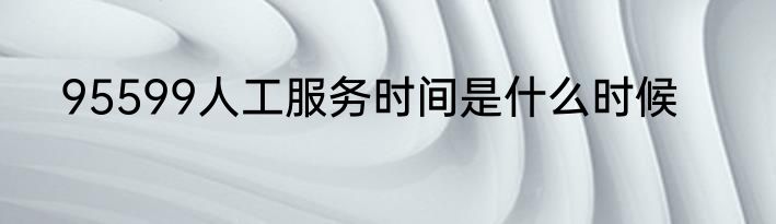 95599人工服务时间是什么时候