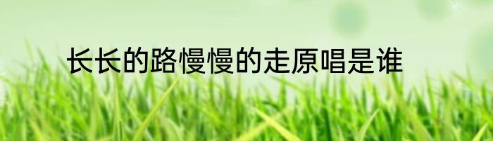 长长的路慢慢的走原唱是谁