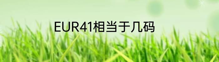 EUR41相当于几码