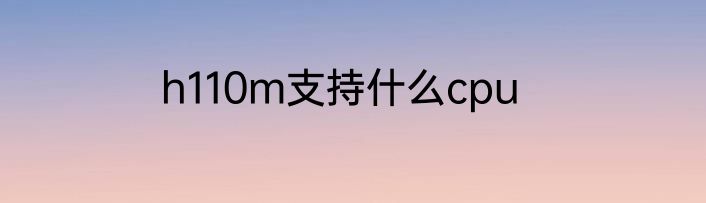 h110m支持什么cpu