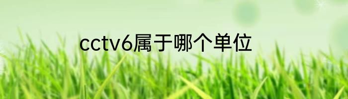 cctv6属于哪个单位
