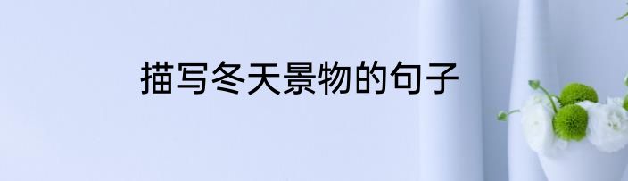 描写冬天景物的句子